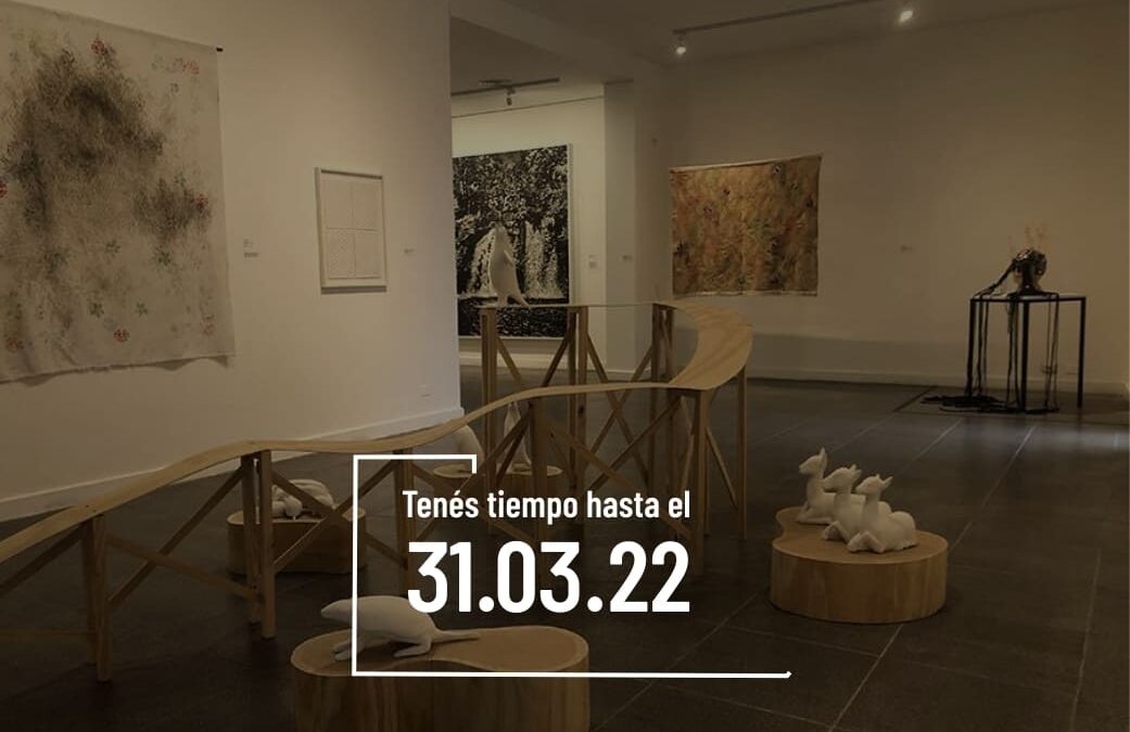 Salón Nacional de Artes Visuales 2022