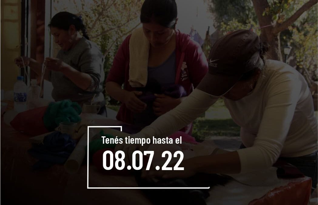 VIII Convocatoria de Puntos de Cultura