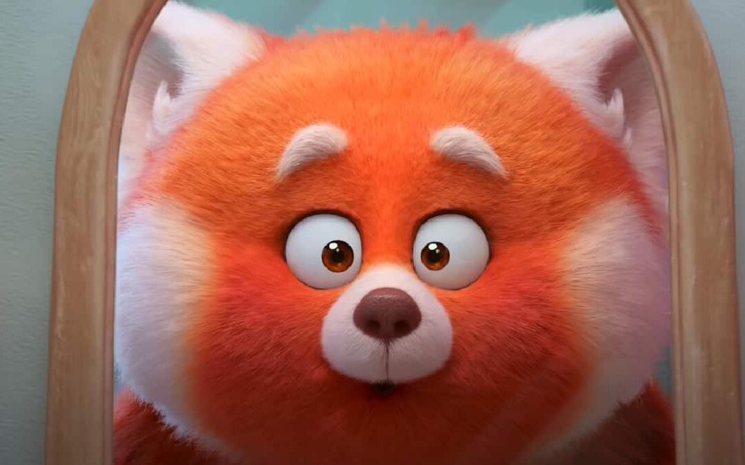 Vacaciones en Cine UPCN