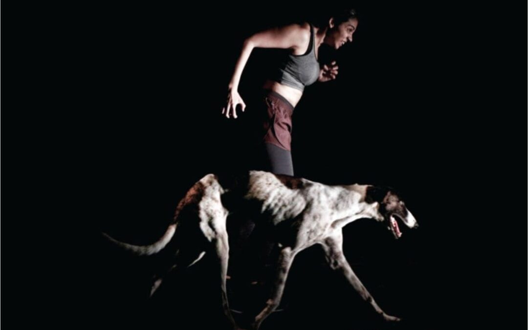 Obras públicas: Ciclo de teatro independiente