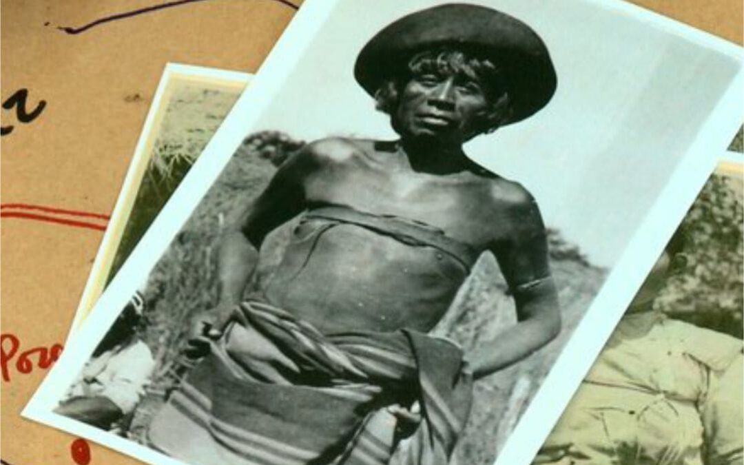 Proyectan el documental «El campo luminoso»