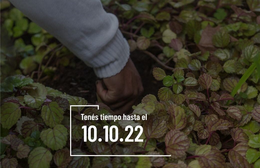 Repensar los espacios culturales desde una perspectiva ambiental