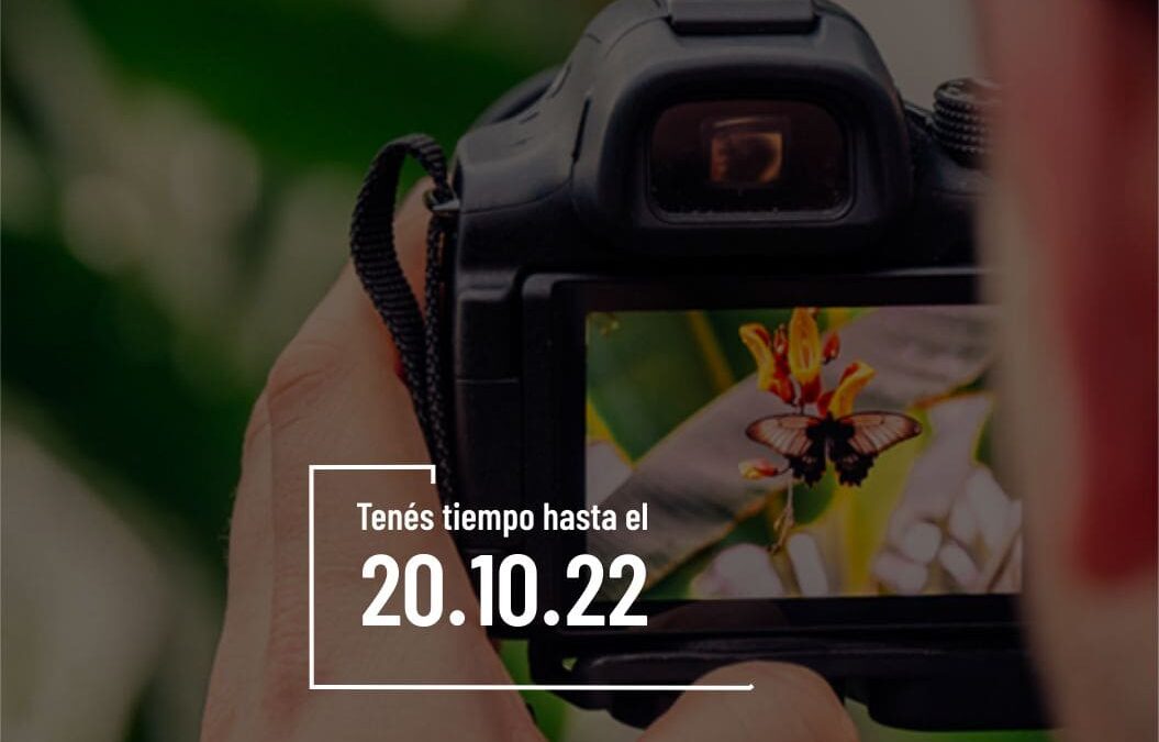 Lanzan concurso fotográfico por el día mundial de las aves