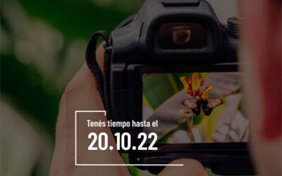 Lanzan concurso fotográfico por el día mundial de las aves