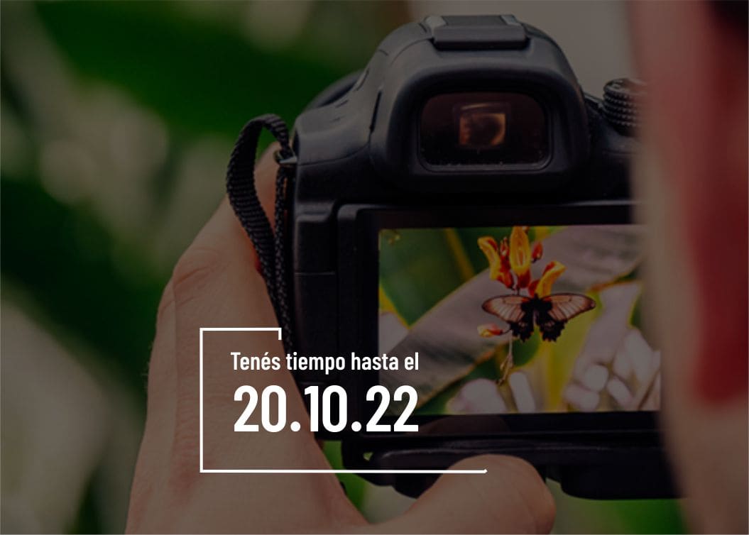 Concurso fotográfico sobre aves Convocatoria de fomento a la música argentina