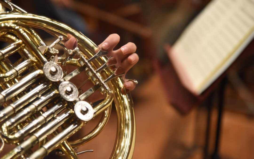 Nuevos recitales para el Festival Música de Cámara