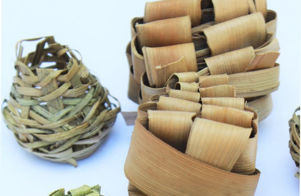 Materia en tránsito: una muestra artística inspirada en la naturaleza