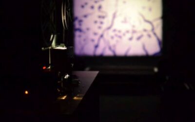 Inscripción abierta para el 18º Festival Tucumán Cine