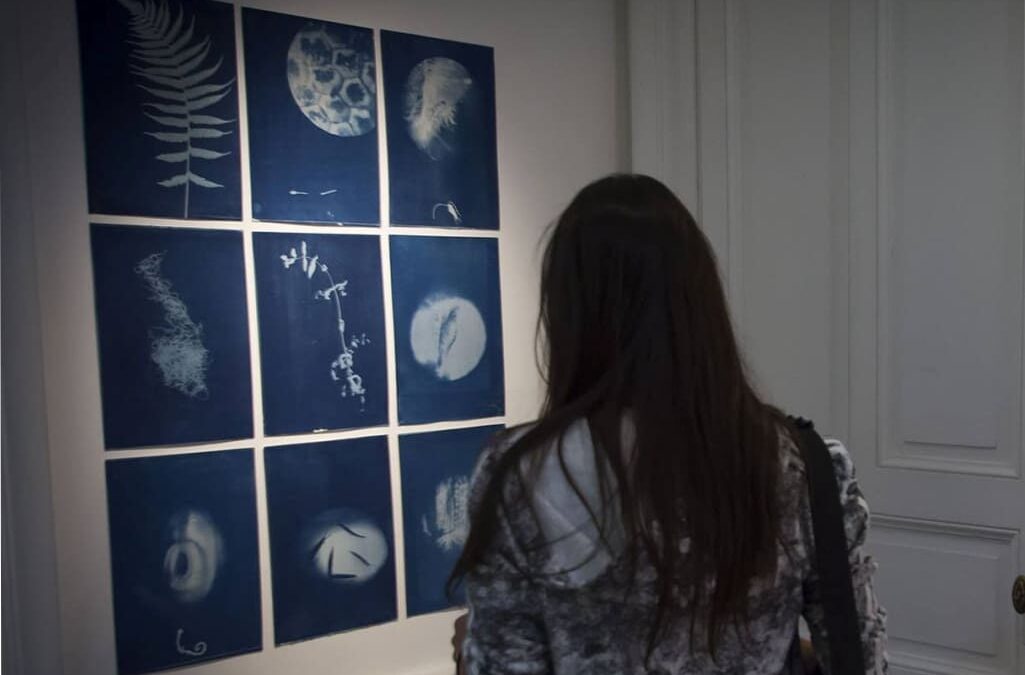Premio Kenneth Kemble a las Artes Visuales 2023