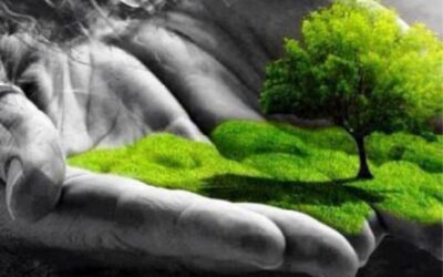 Proyecto Eco Eco: arte por el medio ambiente