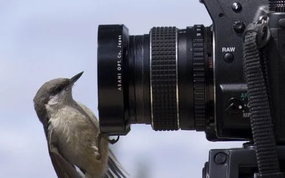 Concurso de Fotografía «Miradas del Parque»