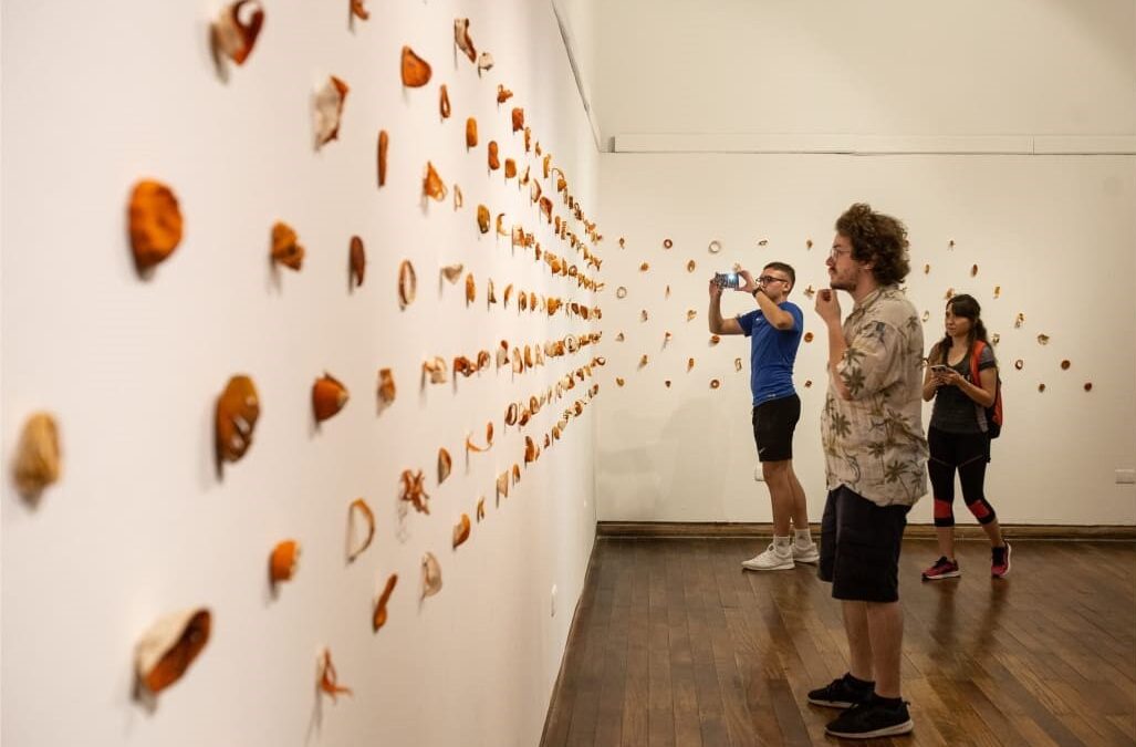 XVII Salón Nacional de Arte Contemporáneo