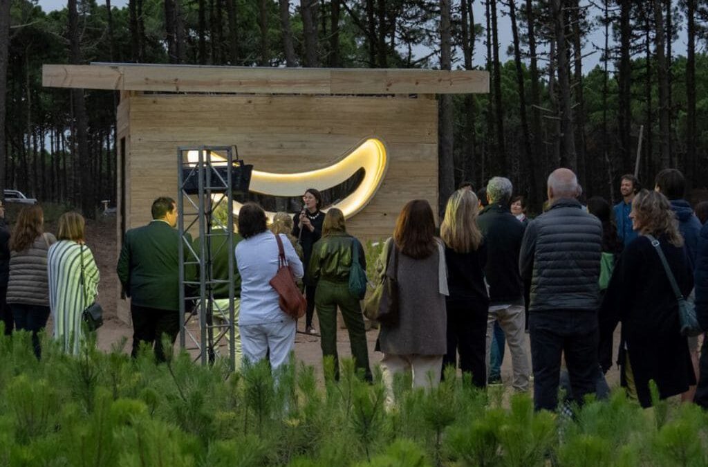 2º edición del Premio Pinamar Contemporáneo #2254